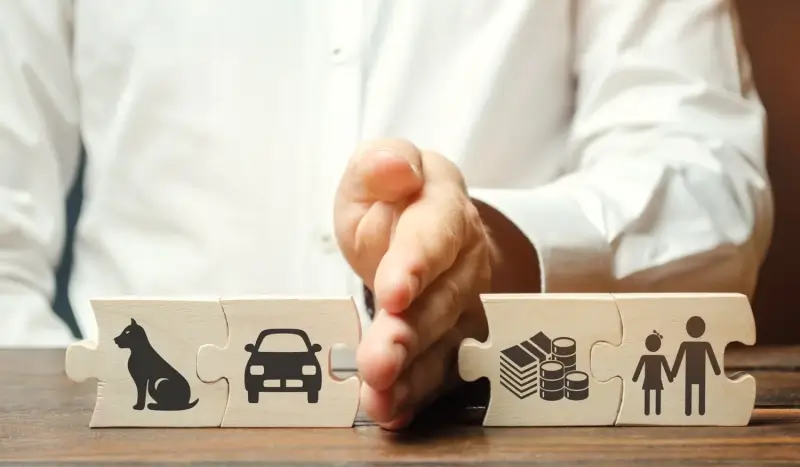 Co może kancelaria prawna?