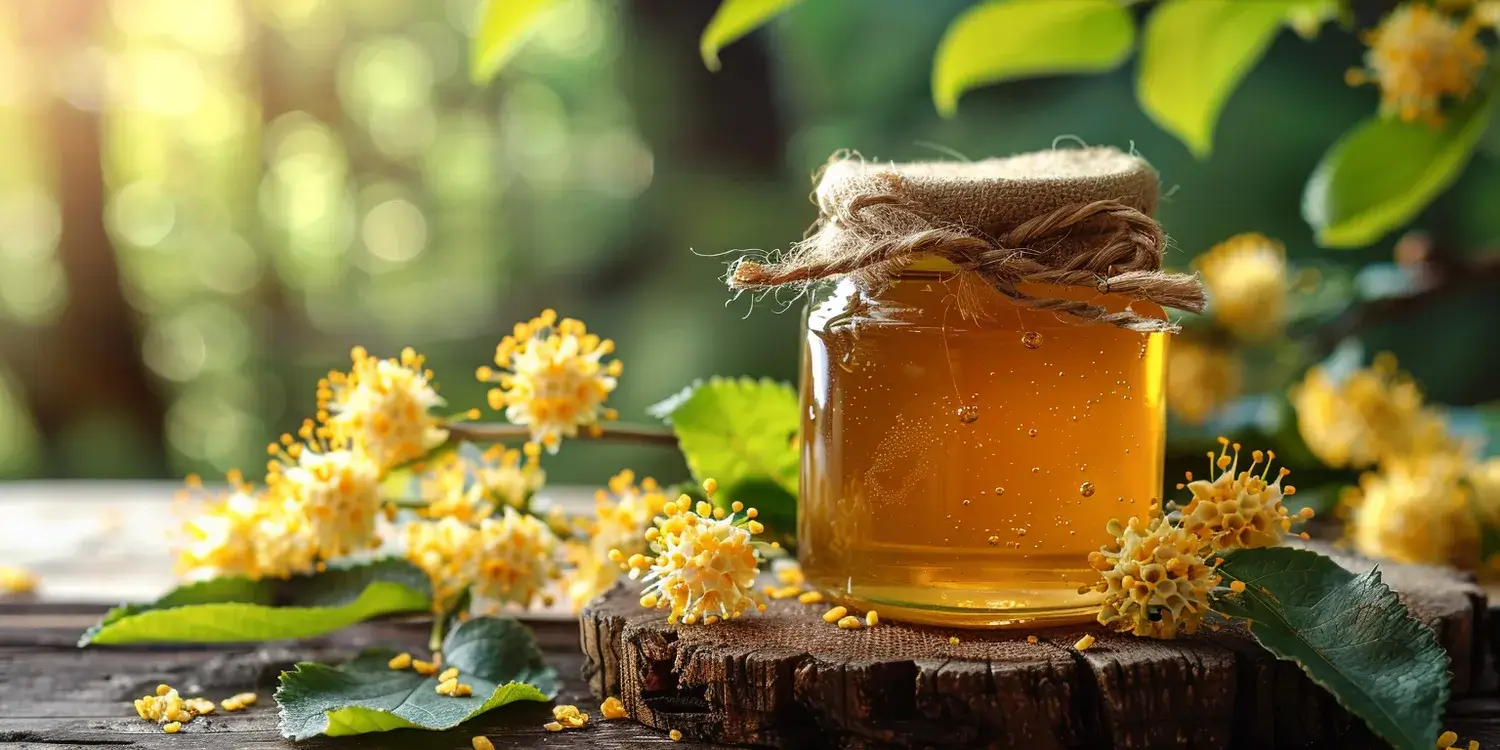 Miód rzepakowy ile dziennie?