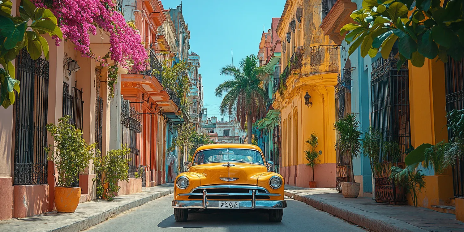 Wycieczki na Maderze po polsku